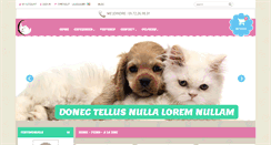 Desktop Screenshot of chinchillas-moins-chers.com