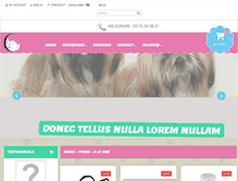 Tablet Screenshot of chinchillas-moins-chers.com